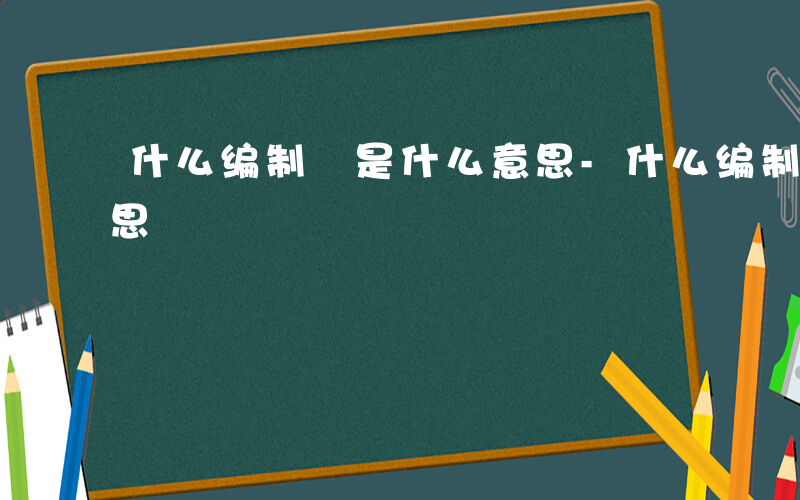 什么编制 是什么意思-什么编制 是什么意思